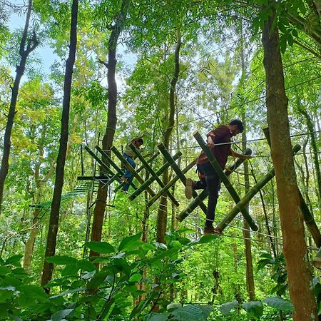Adrak Mountain Mist Forest Resort Pulpally 外观 照片