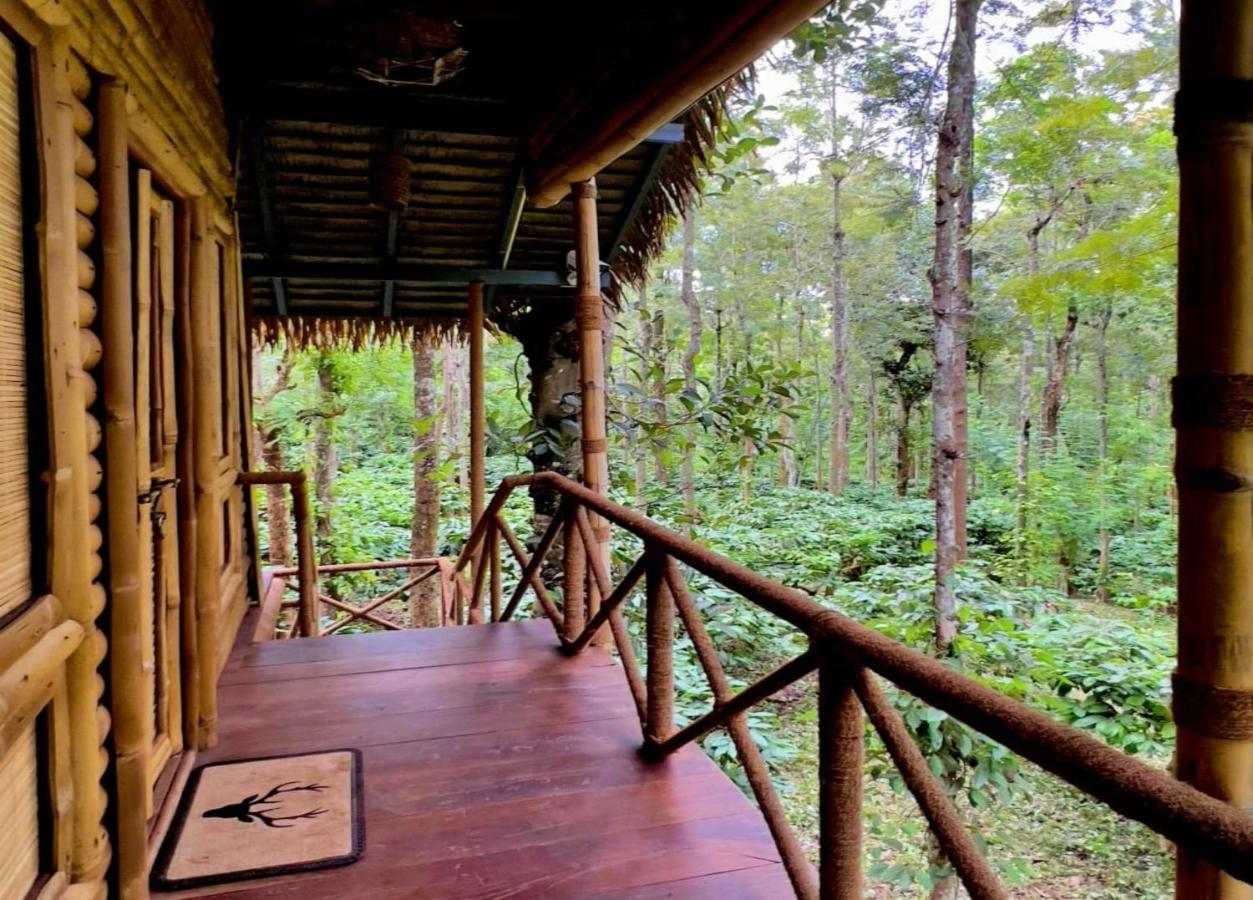 Adrak Mountain Mist Forest Resort Pulpally 外观 照片