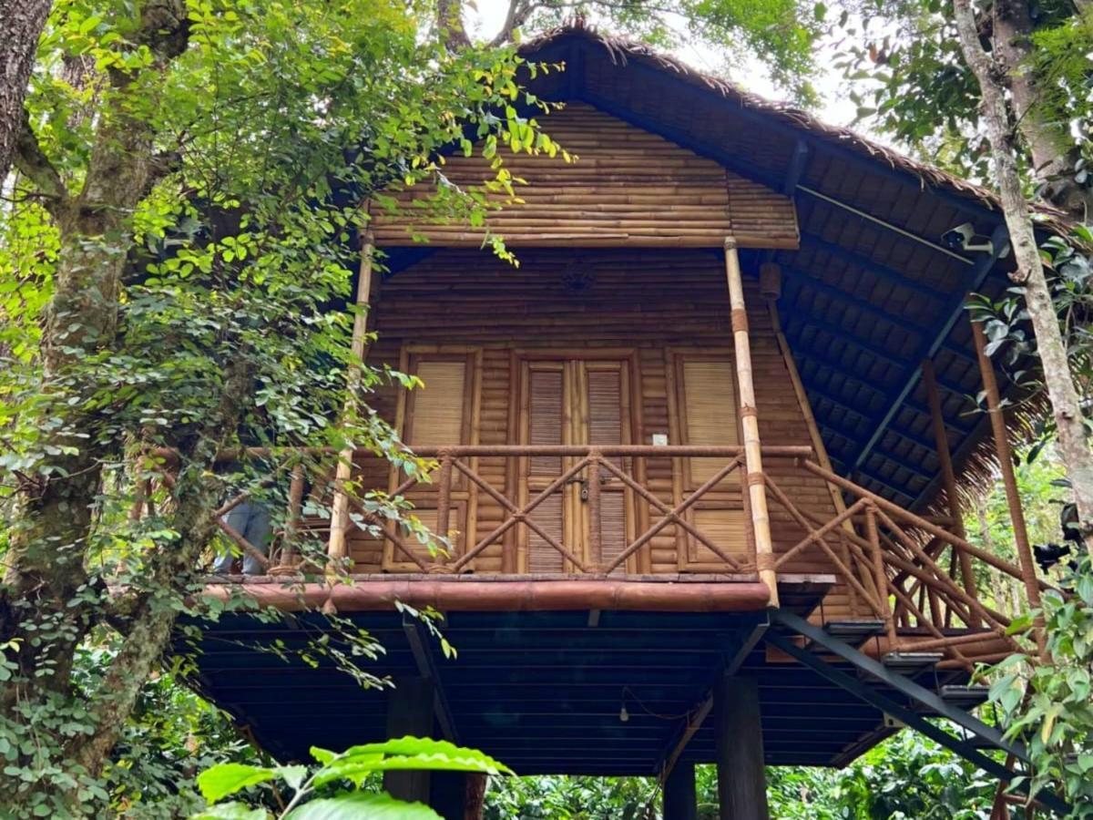 Adrak Mountain Mist Forest Resort Pulpally 外观 照片