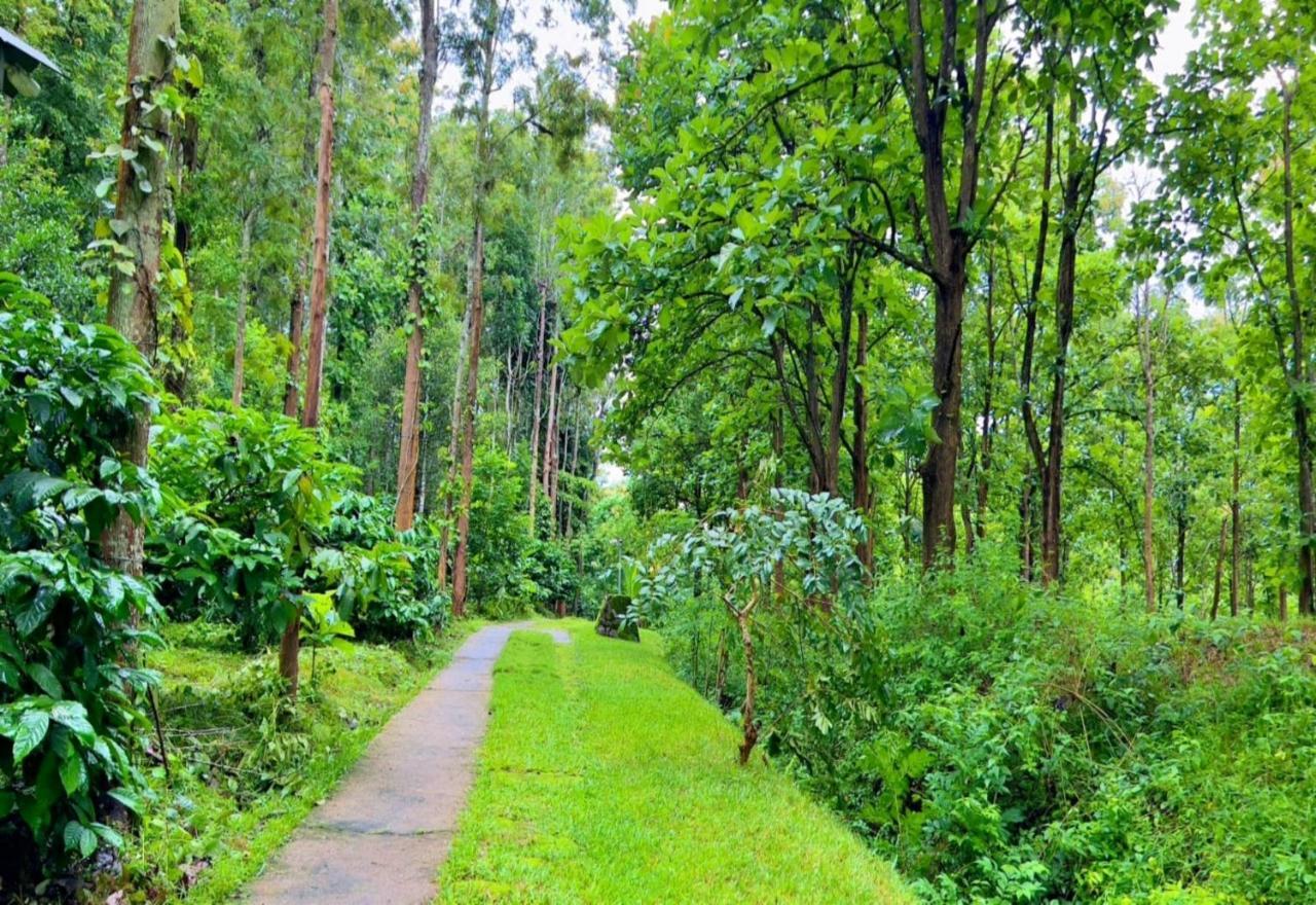 Adrak Mountain Mist Forest Resort Pulpally 外观 照片