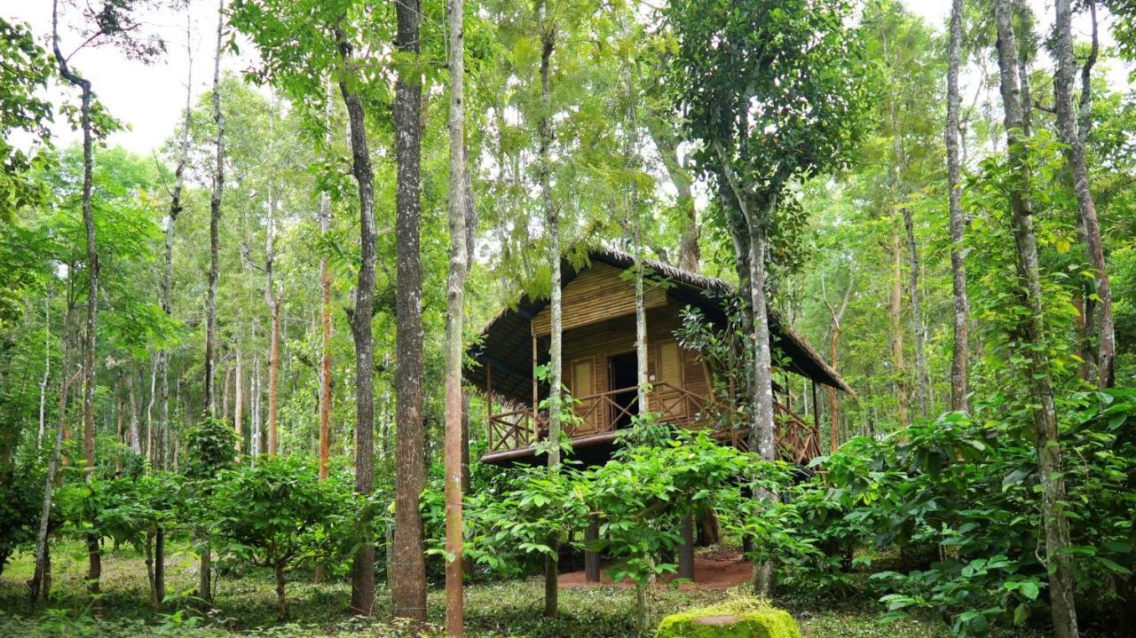 Adrak Mountain Mist Forest Resort Pulpally 外观 照片