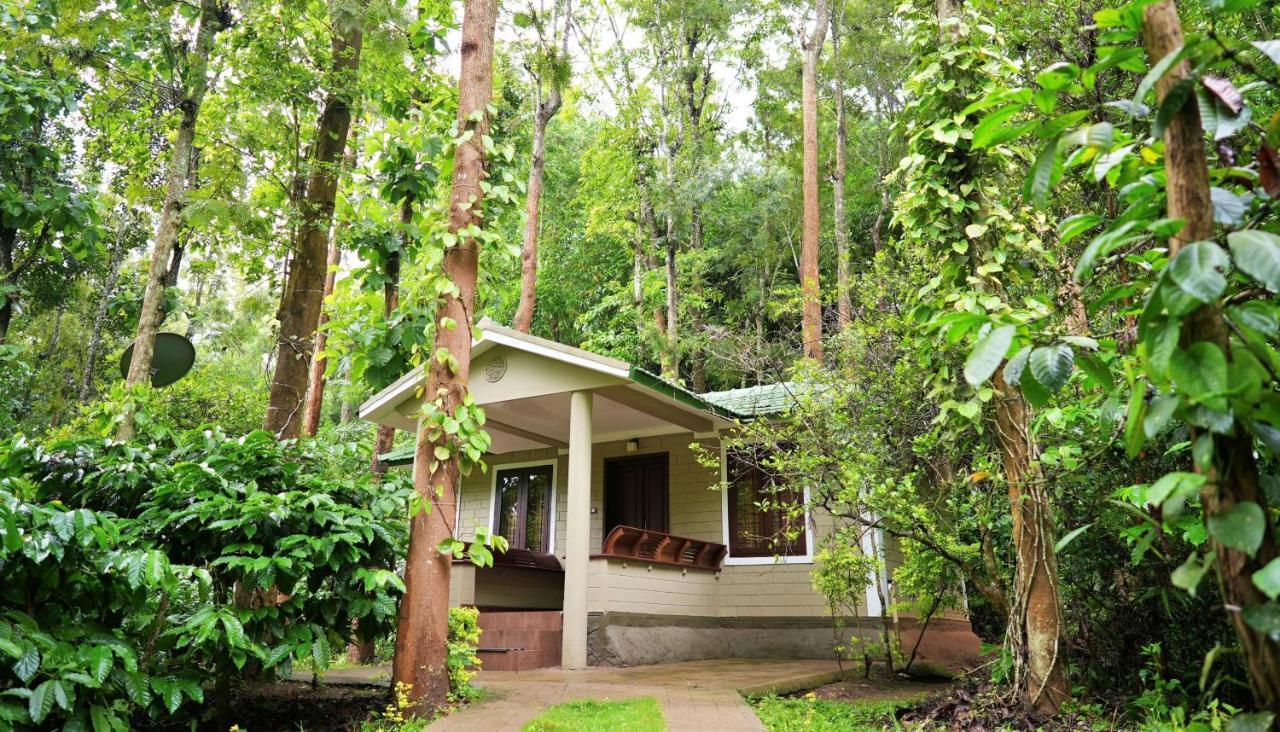 Adrak Mountain Mist Forest Resort Pulpally 外观 照片