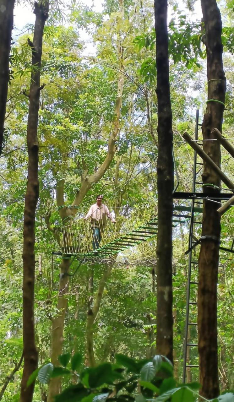 Adrak Mountain Mist Forest Resort Pulpally 外观 照片